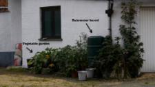 The small "gardens" There are 2 little green spots with zucchinis, tomatoes, strawberries, pumpkins and more