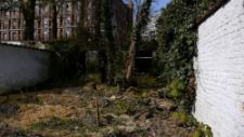 Backyard A city garden. In the back there's a retirement home. The people living there come to the garden and grow food with the kids