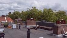 The shared rooftop. It provides a great space for growing plants & food. A place for the people in the building to connect 