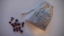 Doing laundry with ecological soap nuts reduces chemicals going into our water, and it is good for the wallet