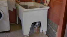 Today there's a washing machine in the house, but the old hand washing tub is still around & used to collect grey water