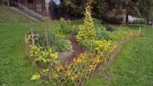 Roma women living close to the garden put their blessing on the plot and help in taking care of it & protecting it