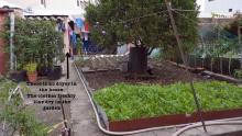  Vera shares the garden with her parents who live on the ground floor. They grow many of their own vegetables