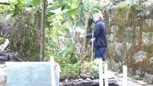 Between Casa Viva and Yo’s home is a large garden where veggies and fruits are grown